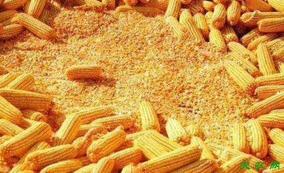 ����ι����ôι������ι���׵�ע������_����