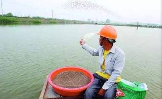 С��Ϻ��ôͶι���ϣ���С��ϺͶι���ϵķ���_��Ϻ