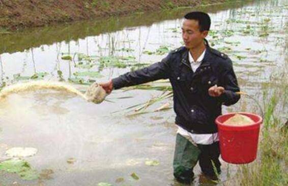 С��Ϻ��ʳ���ص㣬С��Ϻ����Ͷι����_��Ϻ