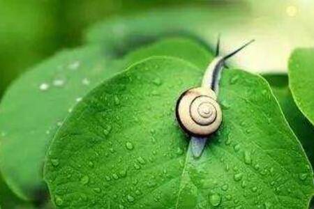 ��ţ���ٶ��Ƕ��٣���ţһ��������Զ_��ֳ�ʴ�