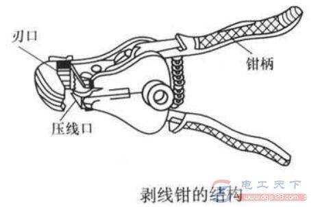 ����ǯ�Ľṹ��ɣ�����ǯ����ȷ�÷�