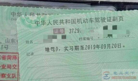 C1�����ܲ��������ֵ綯��