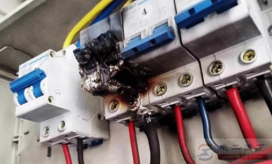 �����տ���բ���ûţ���Щ��������æ