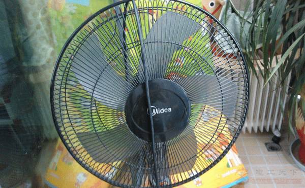 �������������ʲôԭ��