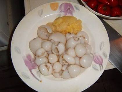 [����]�ݽ�ī���е�����