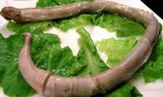 �ٿƽ���:ţ��