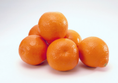 ���ӵ�Ӫ����ֵ�Լ�ʳ��Ч��