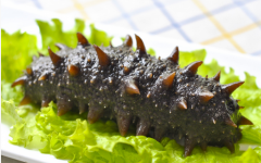 ���εİٿƽ����Լ�Ӫ����ֵ