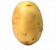 �����Ĺ�Ч