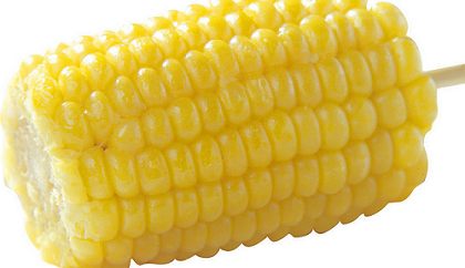 ���׵�Ӫ����ֵ