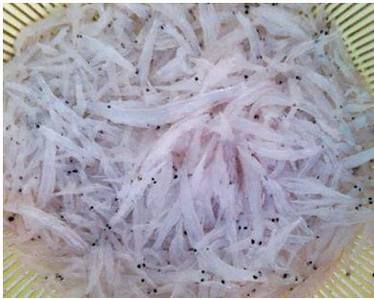 ���װٿ�֮����