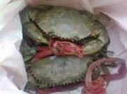 �������з