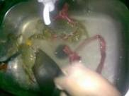 �������з