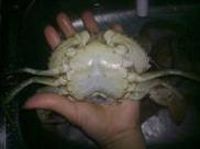 �������з