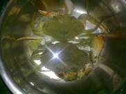 �������з