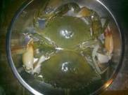 �������з