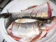 ������˿��