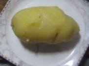 ţ��������