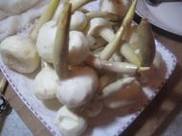 ����ȹ����Ź�