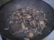 ��������Ģ