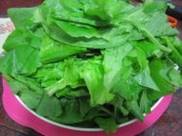 �����˳���Ƭ