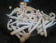 �ع�����˫�ס�