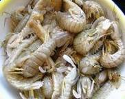 ƤƤϺ��Ƥ��ѿ��