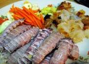 ƤƤϺ��Ƥ��ѿ��