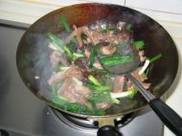 �²�ľ������Ƭ