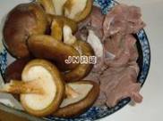 �����㹽������