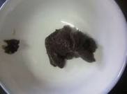 ��ĩ������