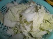 ���������հײ�