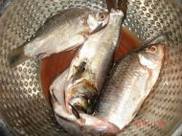 ��С����