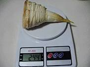 �𹳳�����