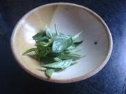 �Ų�����������Ϻ