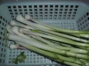 ���⳴����