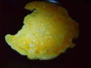 �������ȳ����ײ�