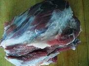 ����÷����