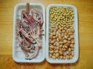 �ƶ������Ҹ�צ