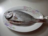 �ɼ������