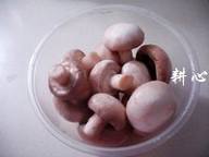 Ģ��������