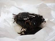 ���г����»�