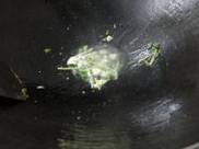 �����Ｙ��˿