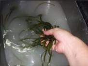 ��������˿