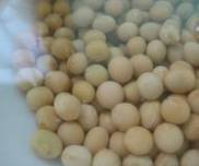 �ƶ��ݹ��Ҽ���