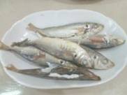 ��С����