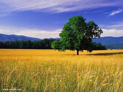 ��������˷��