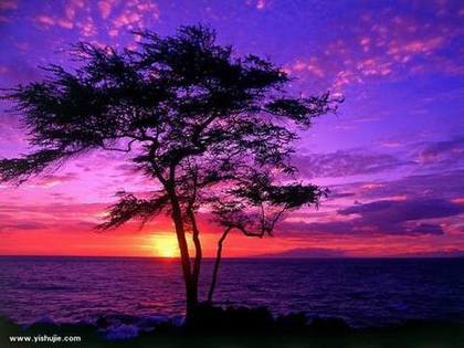 ��������˷��