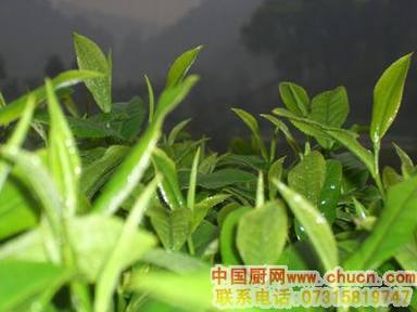 �̲��ǵ���һ��سԵķ�����ʳ��