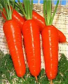 ���ܲ��ǵ���һ��سԵķ�����ʳ��